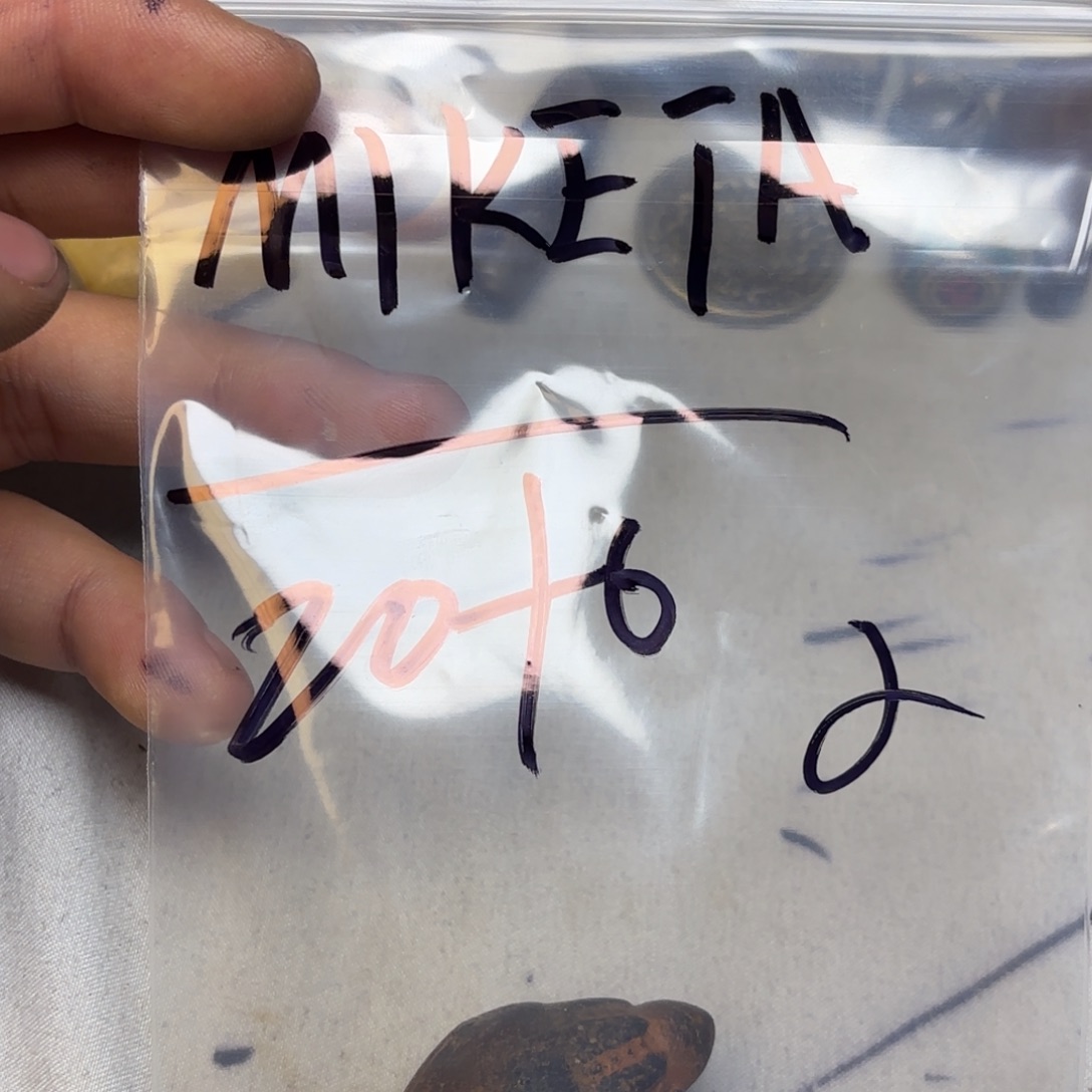M***Y泥塑藏地金刚菩提念珠