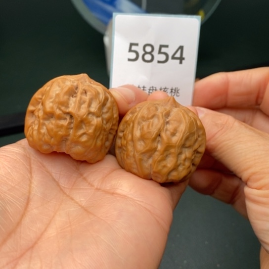 把件文玩核桃23三角蛙5854