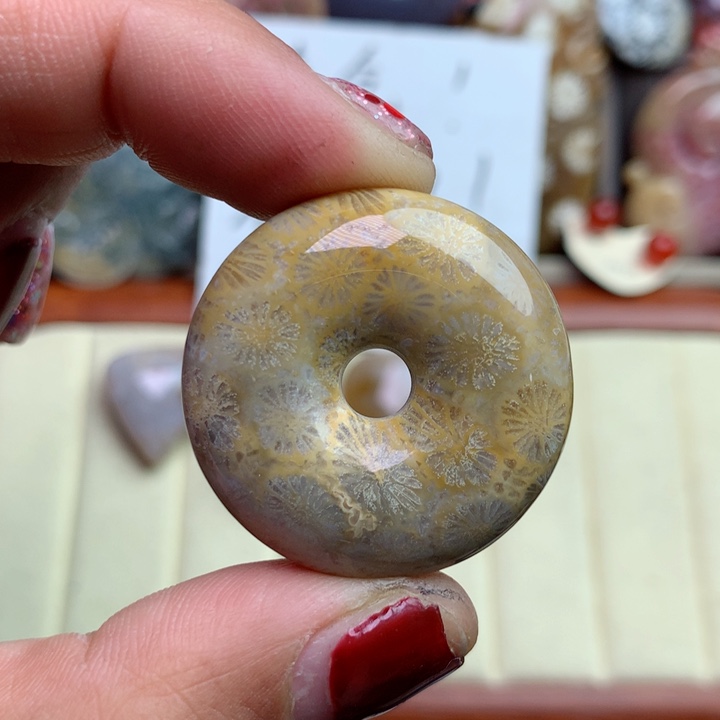 硅化珊瑚（珊瑚玉）颈饰未镶嵌