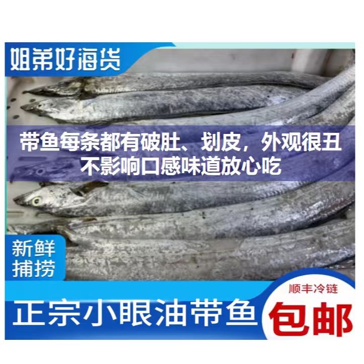 D【瑕疵破肚不好看介意慎拍】净重4斤约12条小眼油带鱼整条鲜货速冻