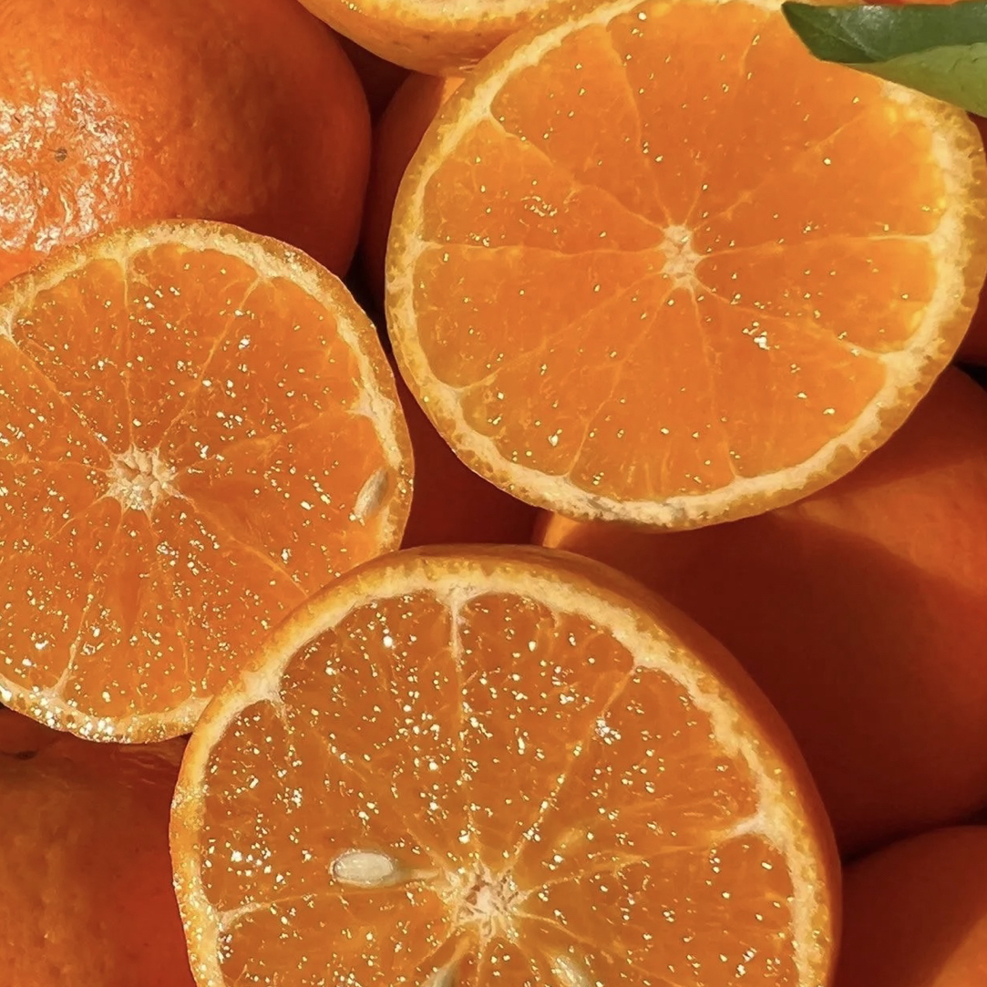 沃柑5.98/斤～450-500g