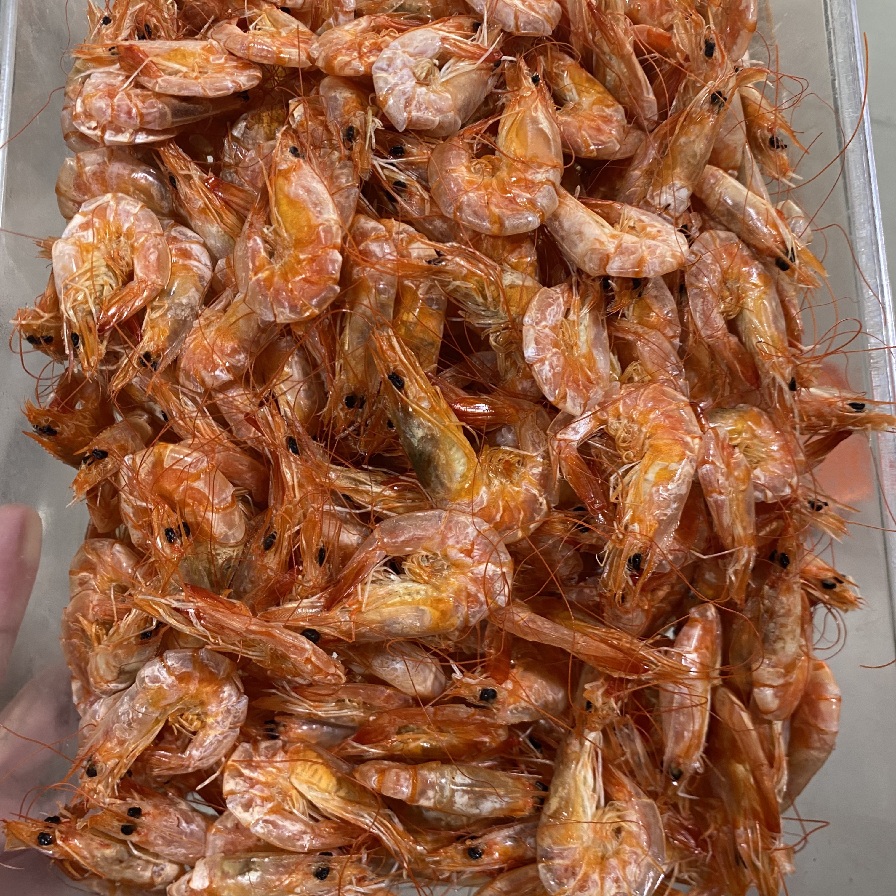 新鲜中号白刺虾中烤虾啤酒虾