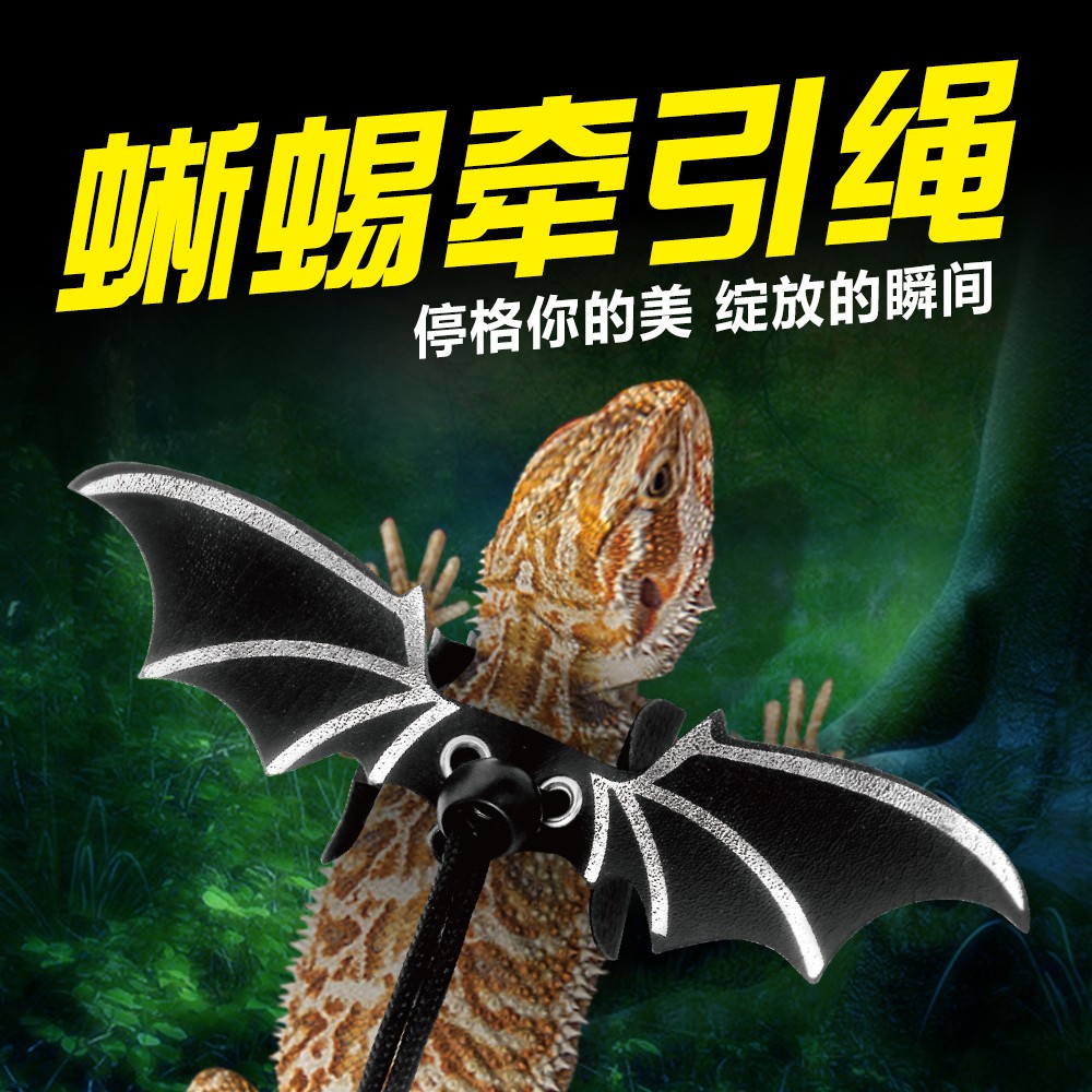 爬宠牵引绳守宫鬃狮蜥外出宠物背带遛蜥蜴绳带翅膀爬虫皮革牵引带
