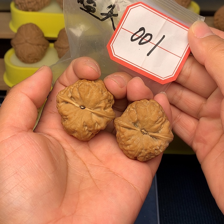 把件文玩核桃古蟾