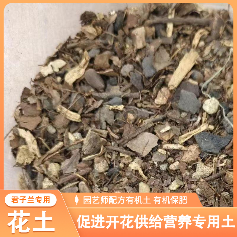 七夕情人节花土特惠花生壳博落回君子兰专用土
