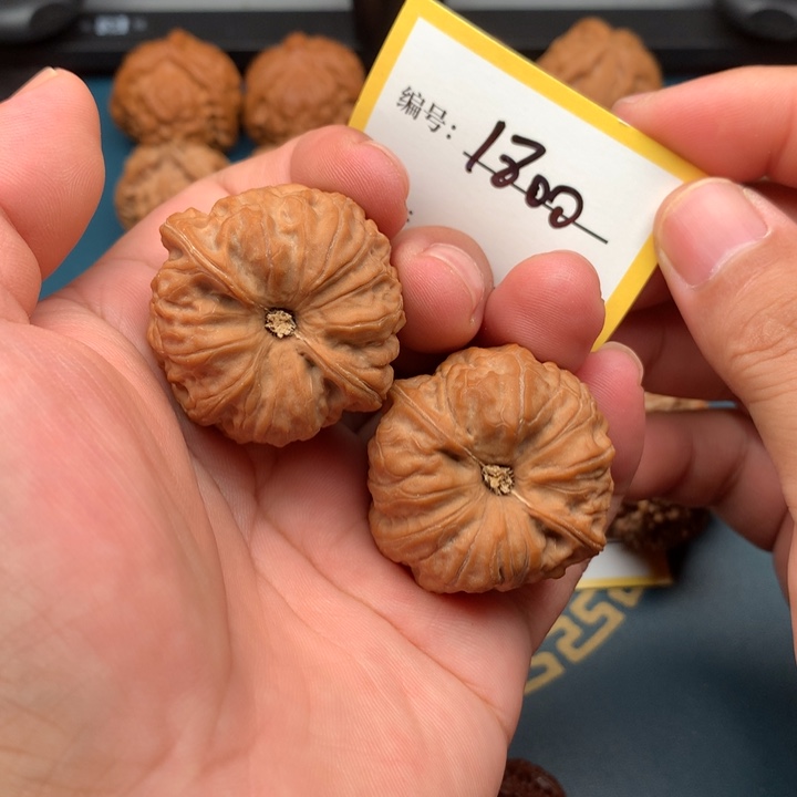 把件文玩核桃38全品玄龙凹底1800