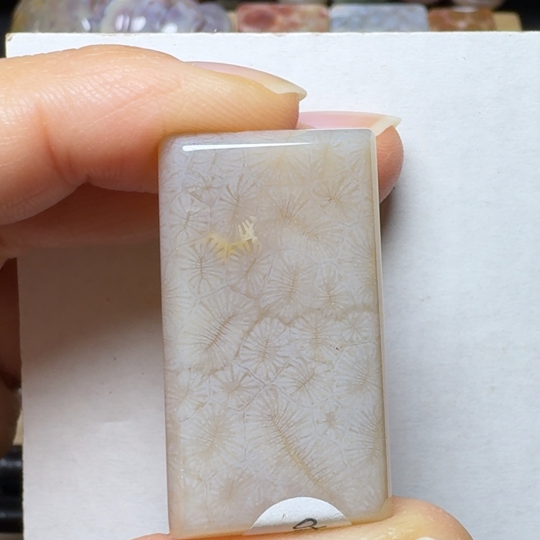 硅化玉冰透虫纹未镶嵌