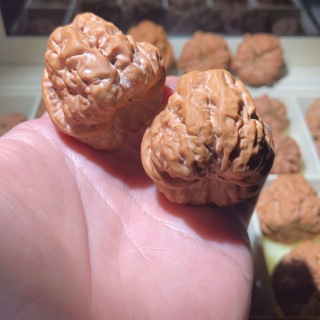 文玩核桃把件好****¹41蛤蟆