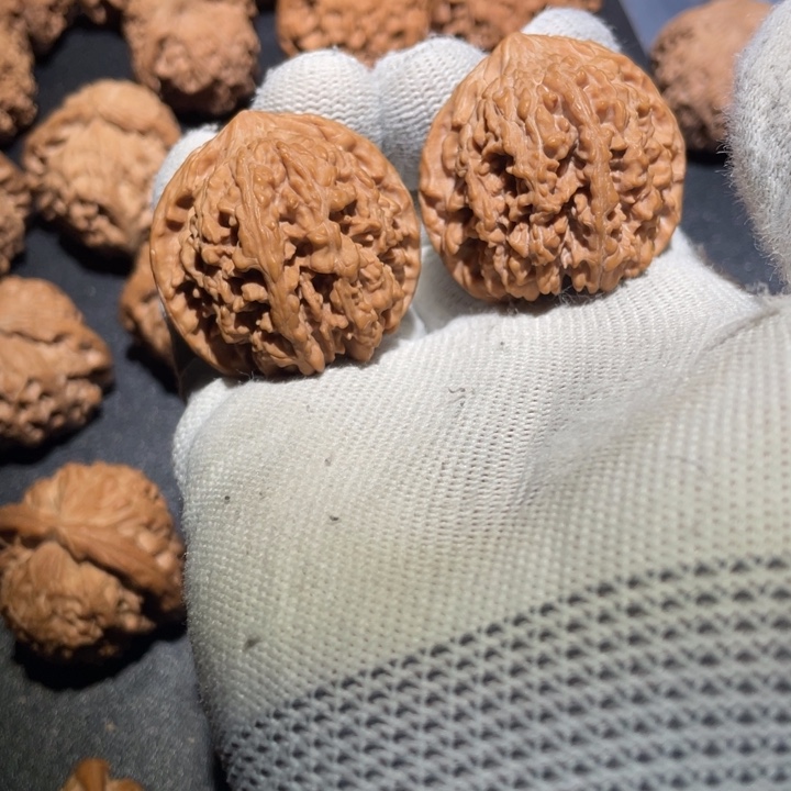 大叶紫檀（黑酸枝木类）