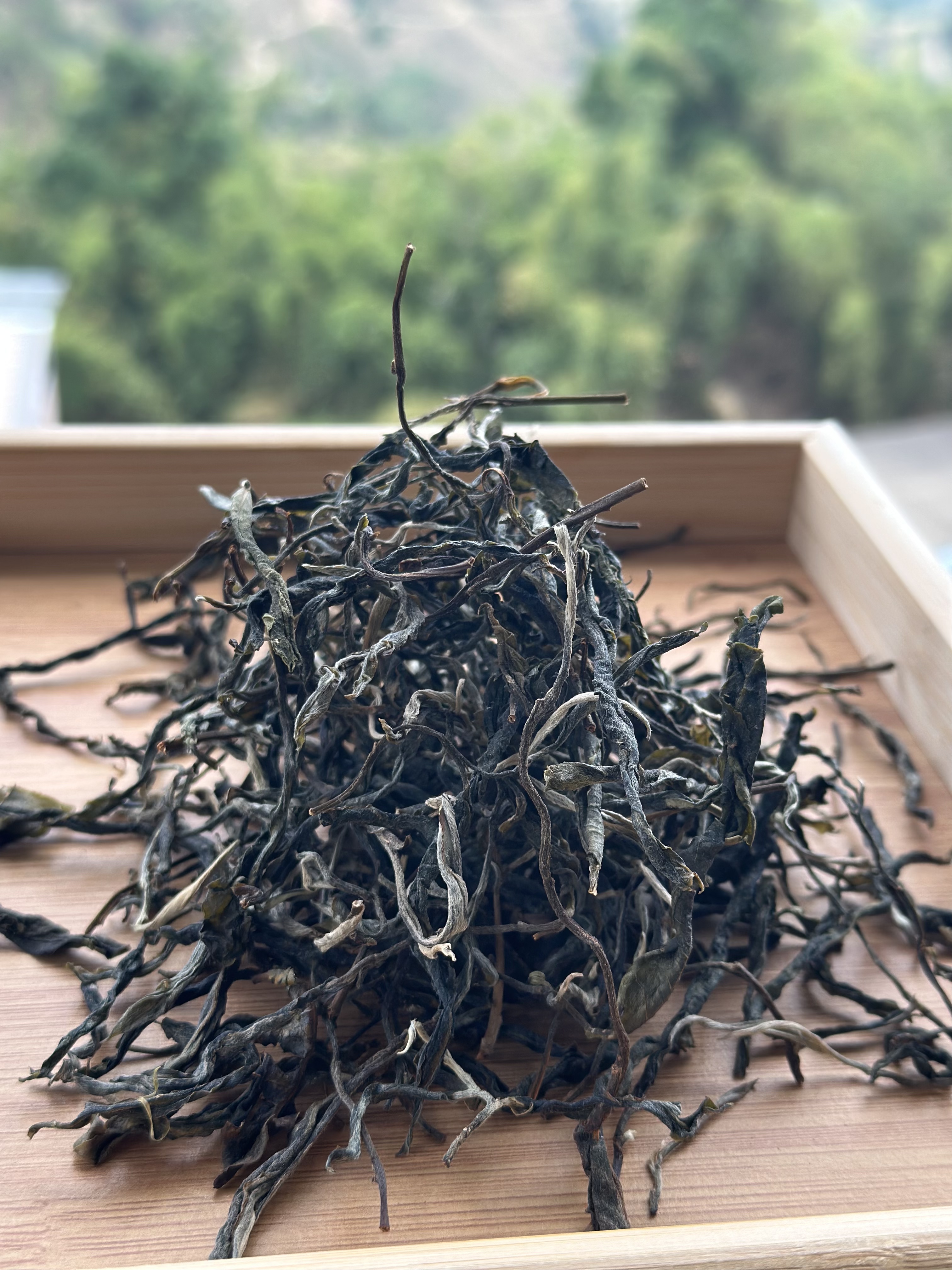 邦东2025年春茶晒青毛茶散料