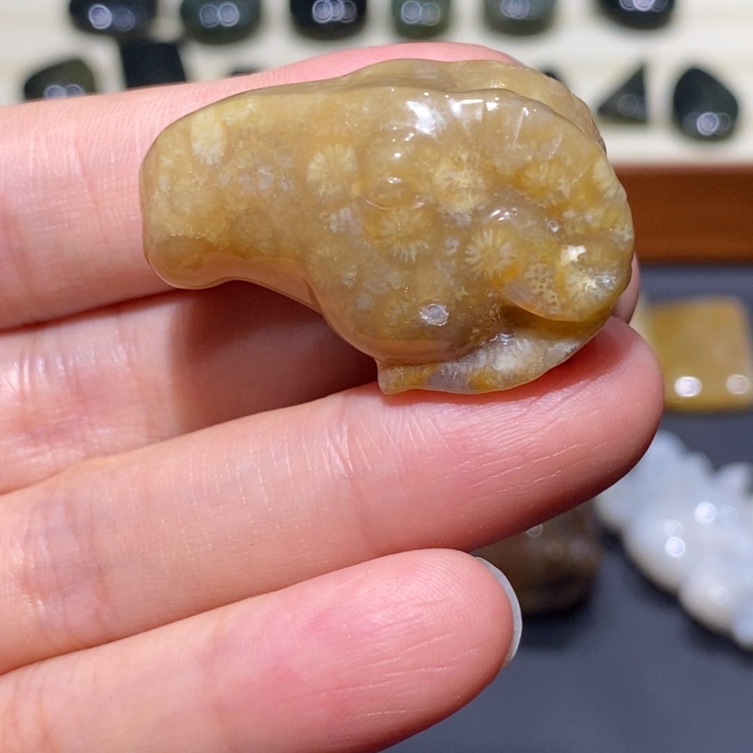 【闪购商品】未镶嵌珊瑚玉硅化玉