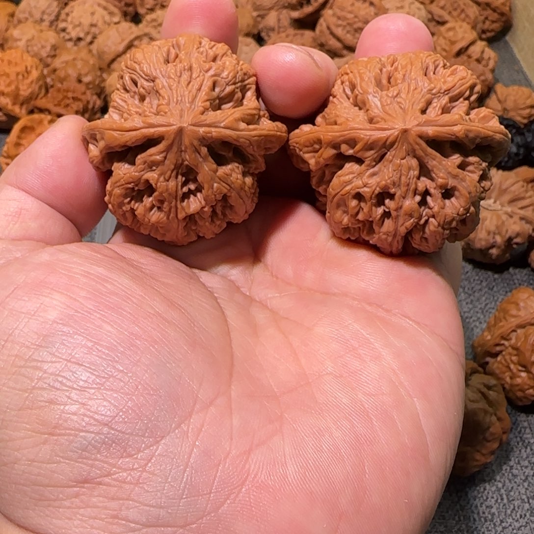 文玩核桃把件46大粗筋