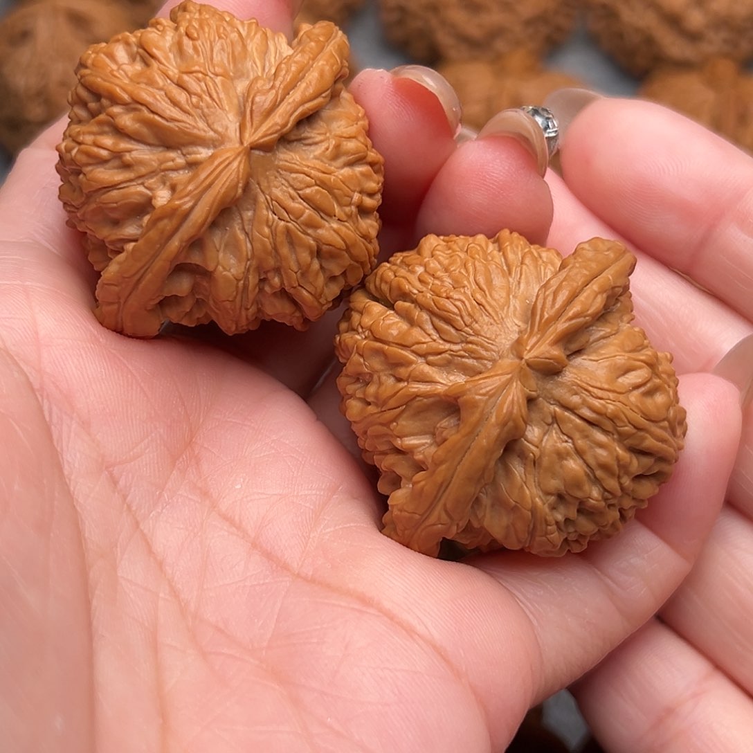 把件文玩核桃思*远精品白狮子44全品毕业款