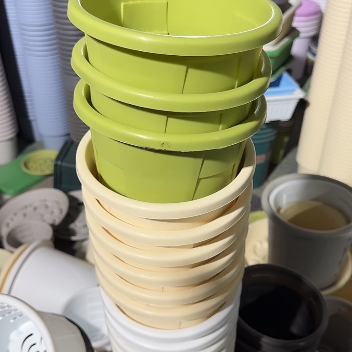 测19口径10个无托白色瑕疵