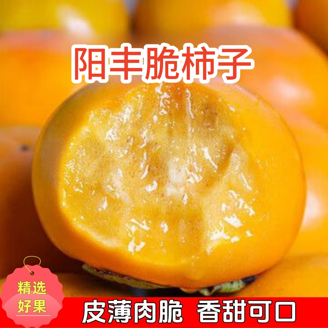 【放至颜色变黄食用】正宗山西脆柿巧克力新鲜当季应季现摘现发