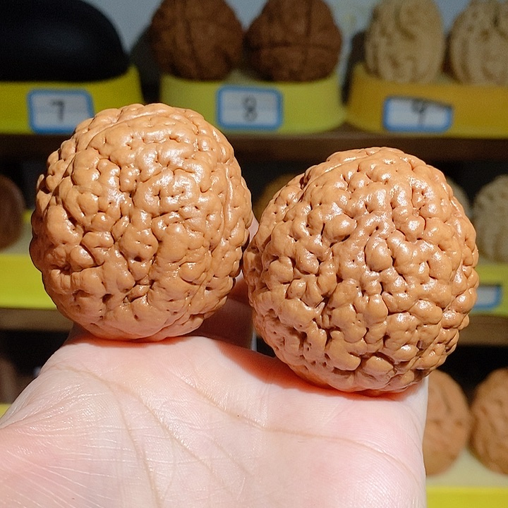 谷**ღ野生三瓣脑纹大金刚4550
