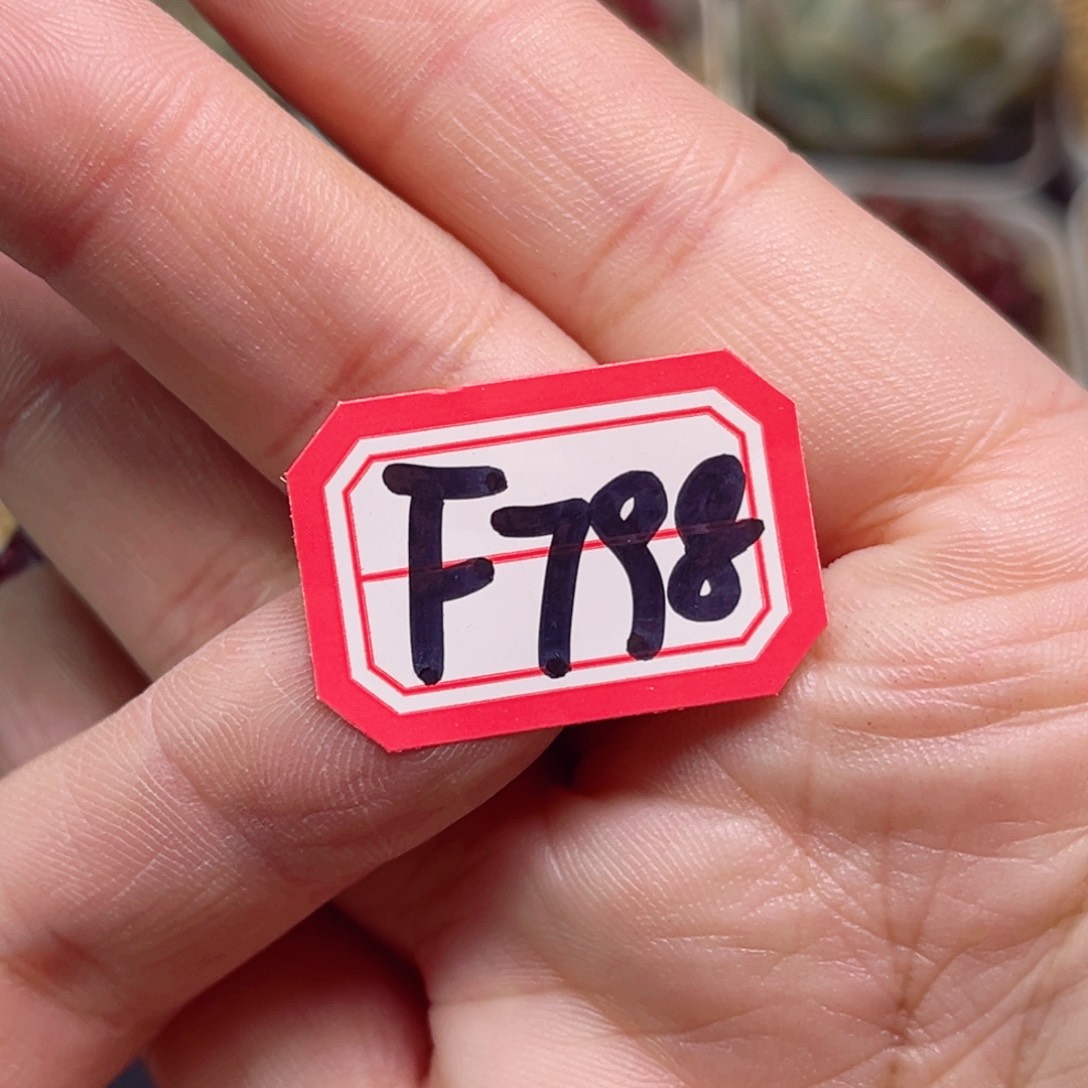 虚*。F798一物一拍 烈焰