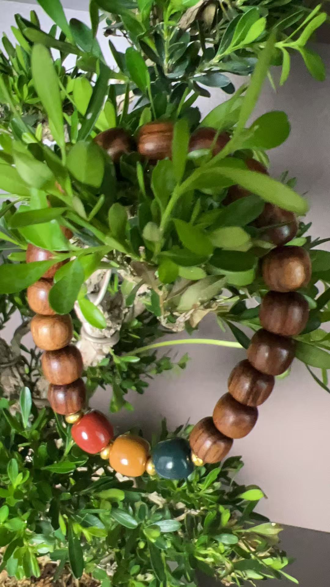 853三色转运手串（无礼盒）