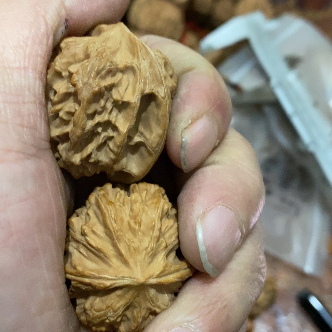辛*秦岭南侧和东北北部部分