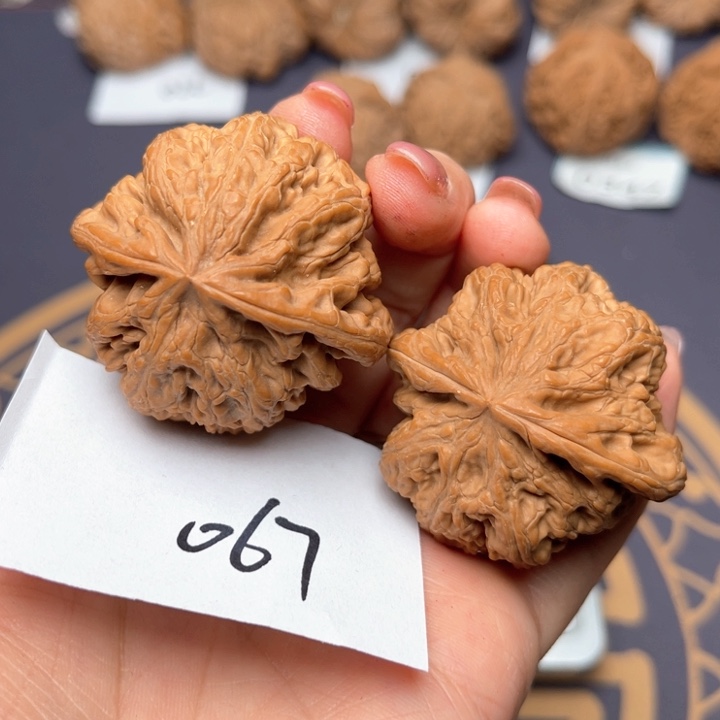 文玩核桃把件42大粗筋 067