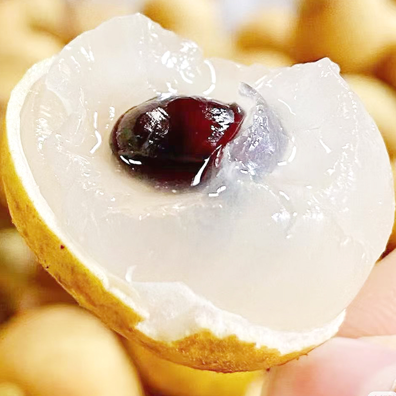 (精品好货)泰国金标龙眼新鲜大龙眼带枝条5斤/3斤