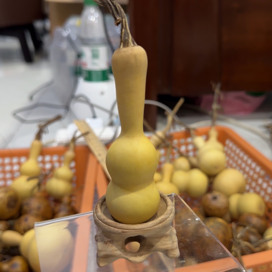 葫芦返回化工厂VB好脚后跟GV哈哈