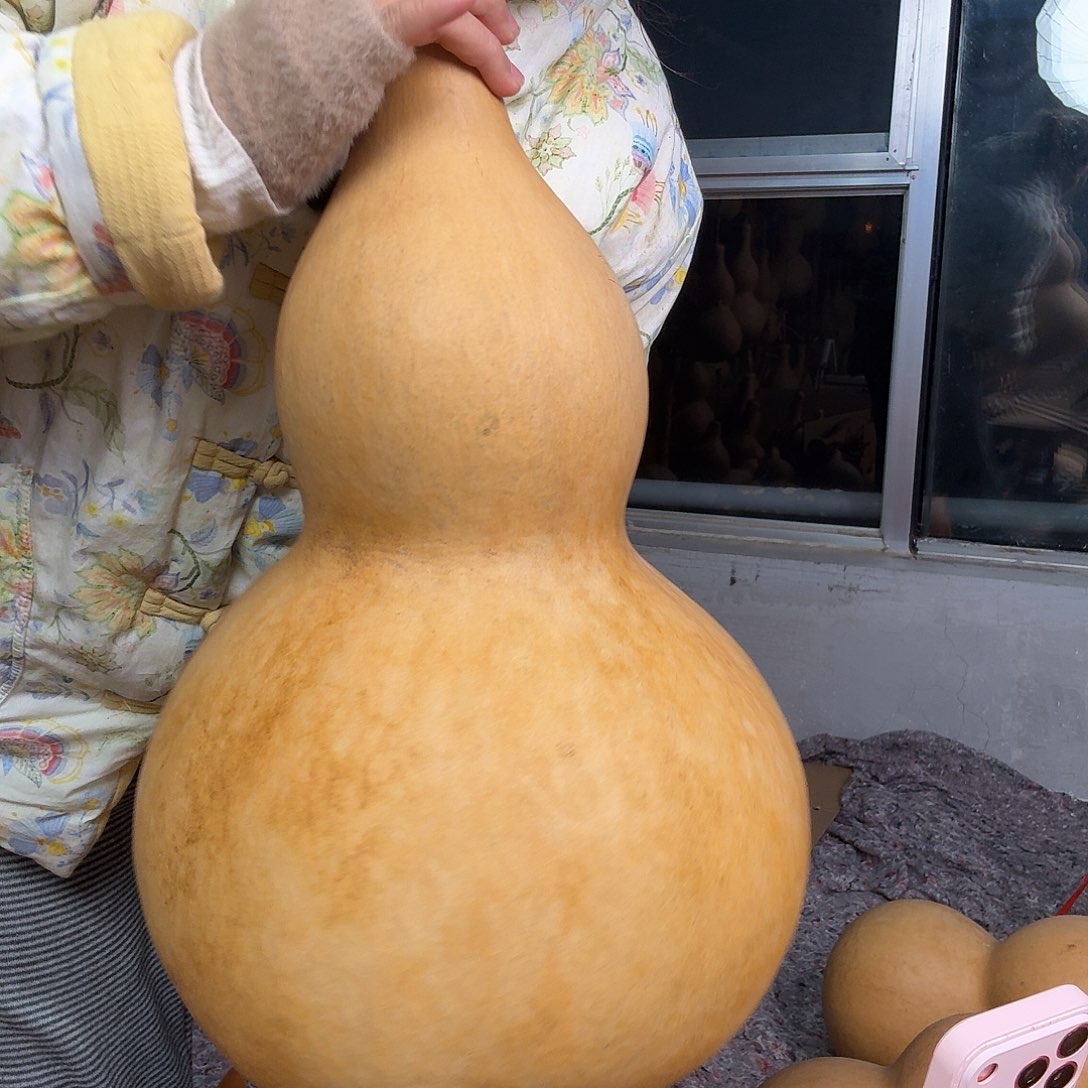 一***寂一季一季去拍老板