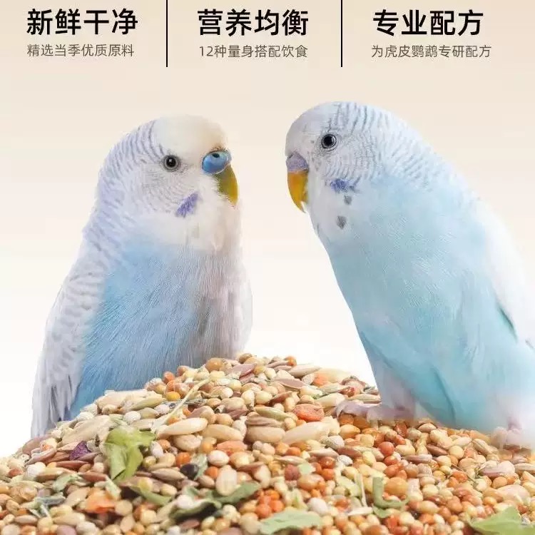 手养精品大头混合粮一个A1000000