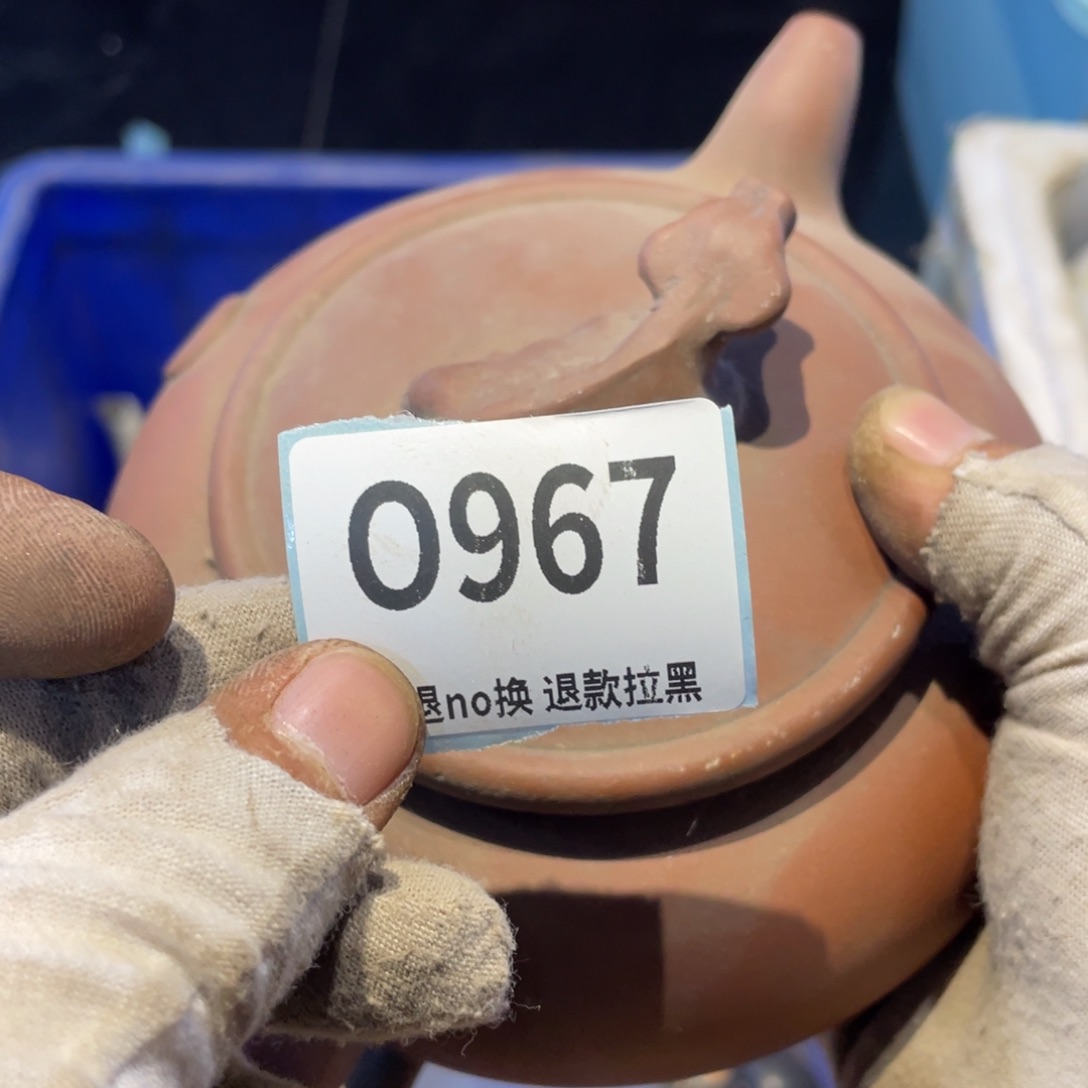 清***和瓷片表弟链接火爆热卖热卖