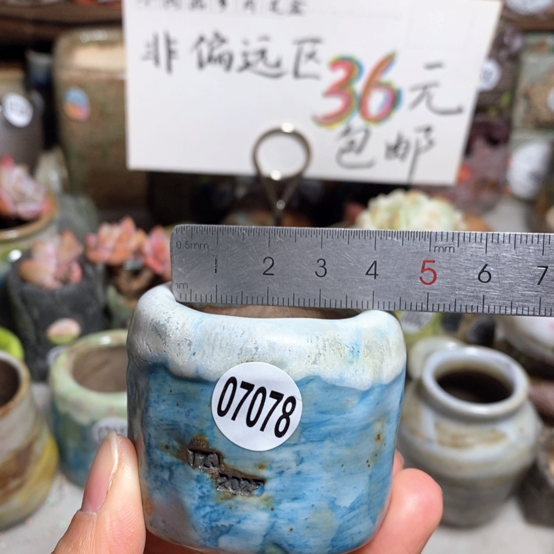 花盆拍3送一个小礼物