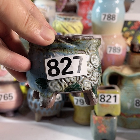 红陶多肉植物花盆