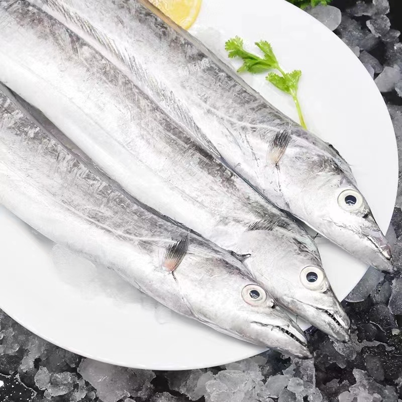 山东威海纯野生小眼油带鱼4斤4-5条