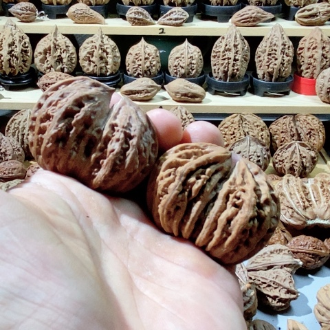 文玩核桃把件双棒连体 一只有磕碰