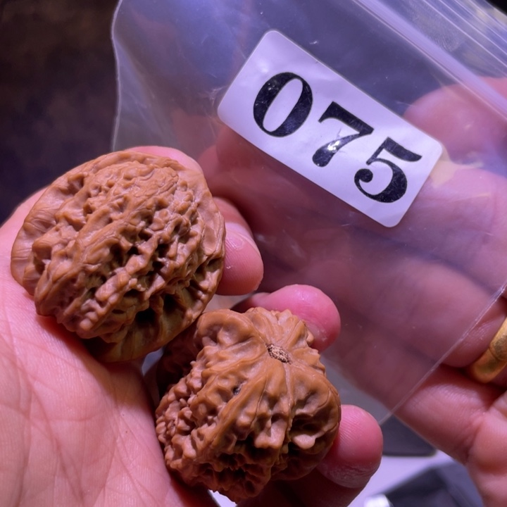 小***H吊坠文玩核桃075马老四