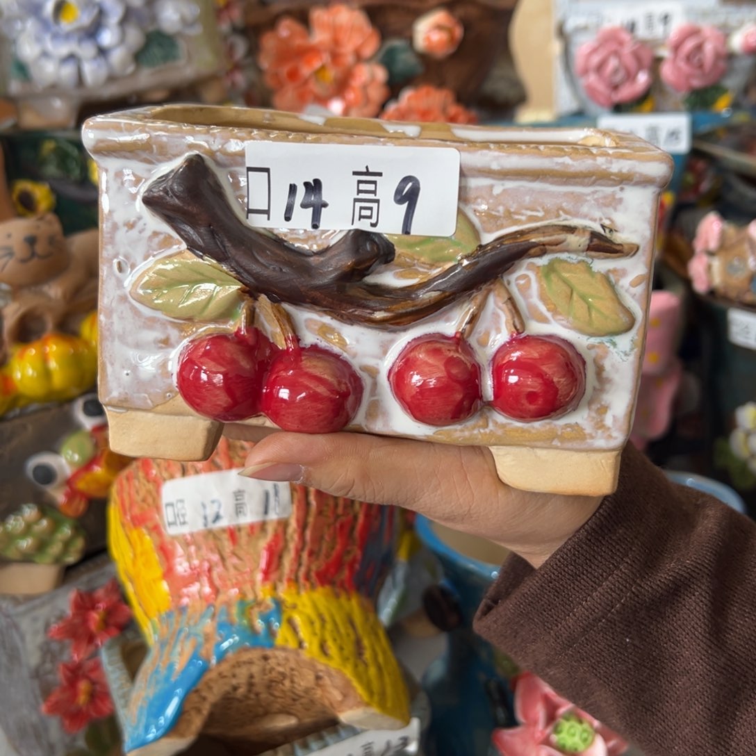 花盆，拍满20发货，退款拉黑