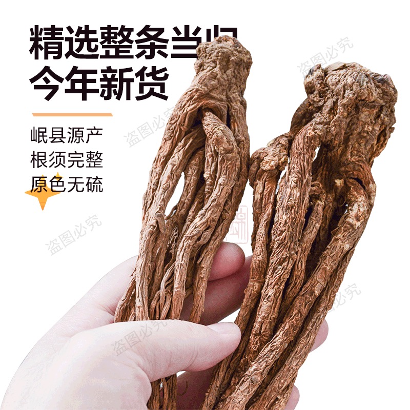 【当归】甘肃岷县正宗当归整根可搭配黄芪党参煲汤