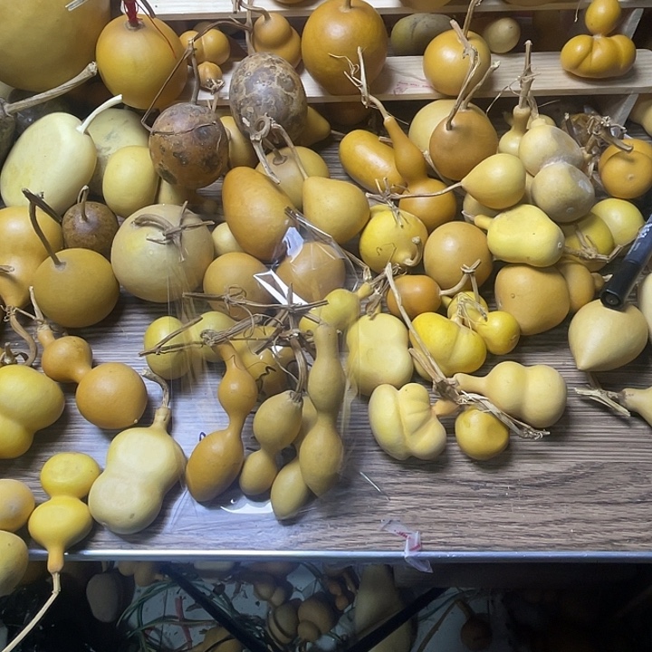 农***疼哈哈哈哈哈哈哈哈哈哈哈哈哈