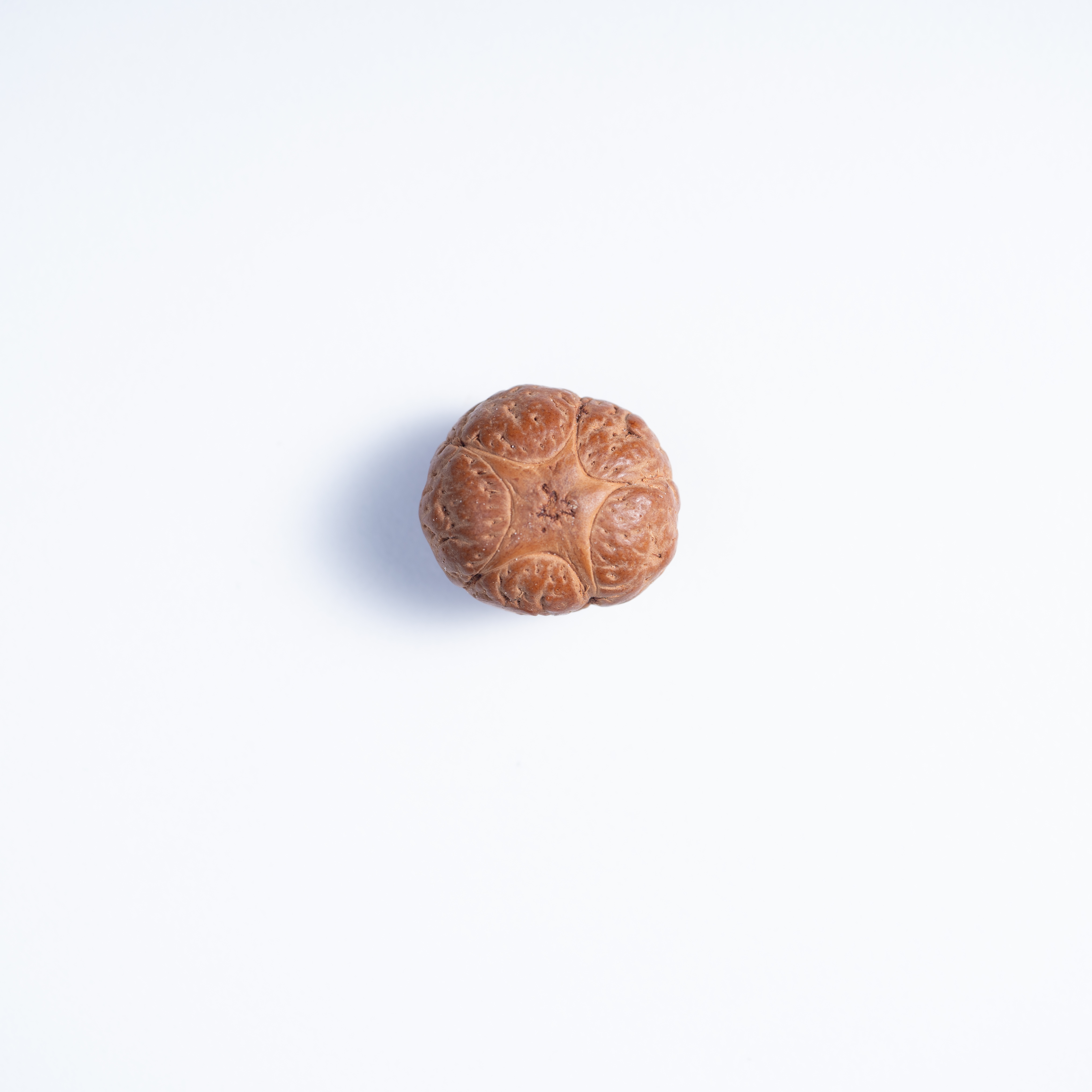 五星三通凤眼菩提40
