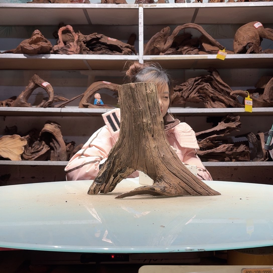 倍褚沉木不包损必褪色a*伯6705