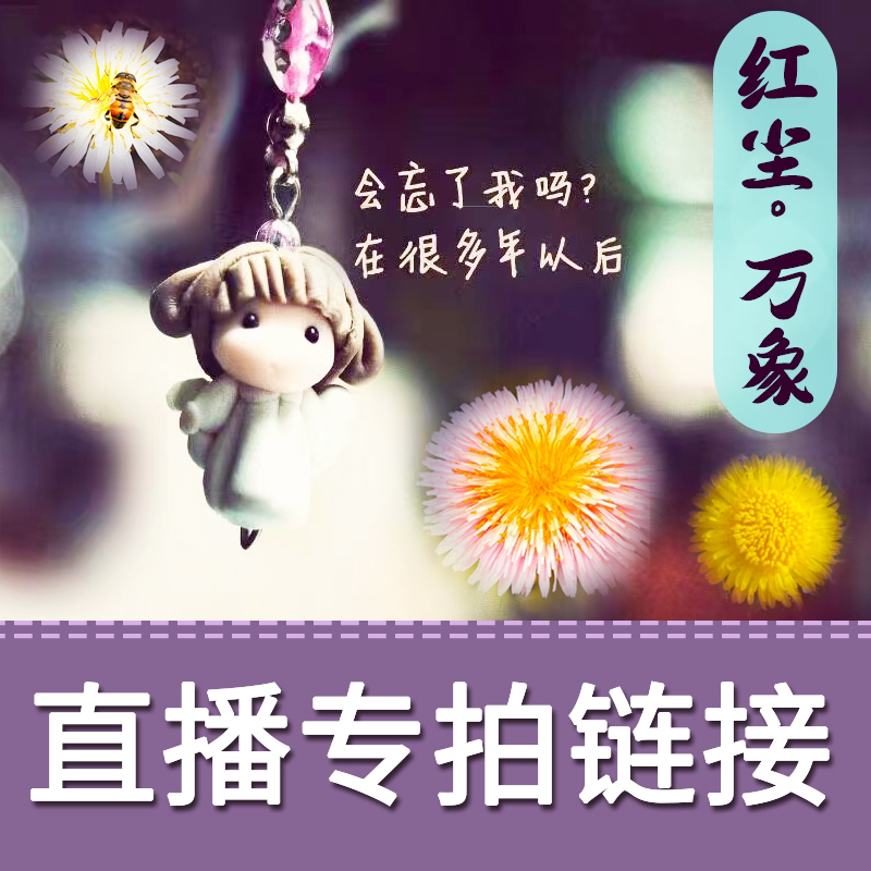 直播一物一拍专用链接展示，白色绯红色花品种蒲公英多年宿根植物