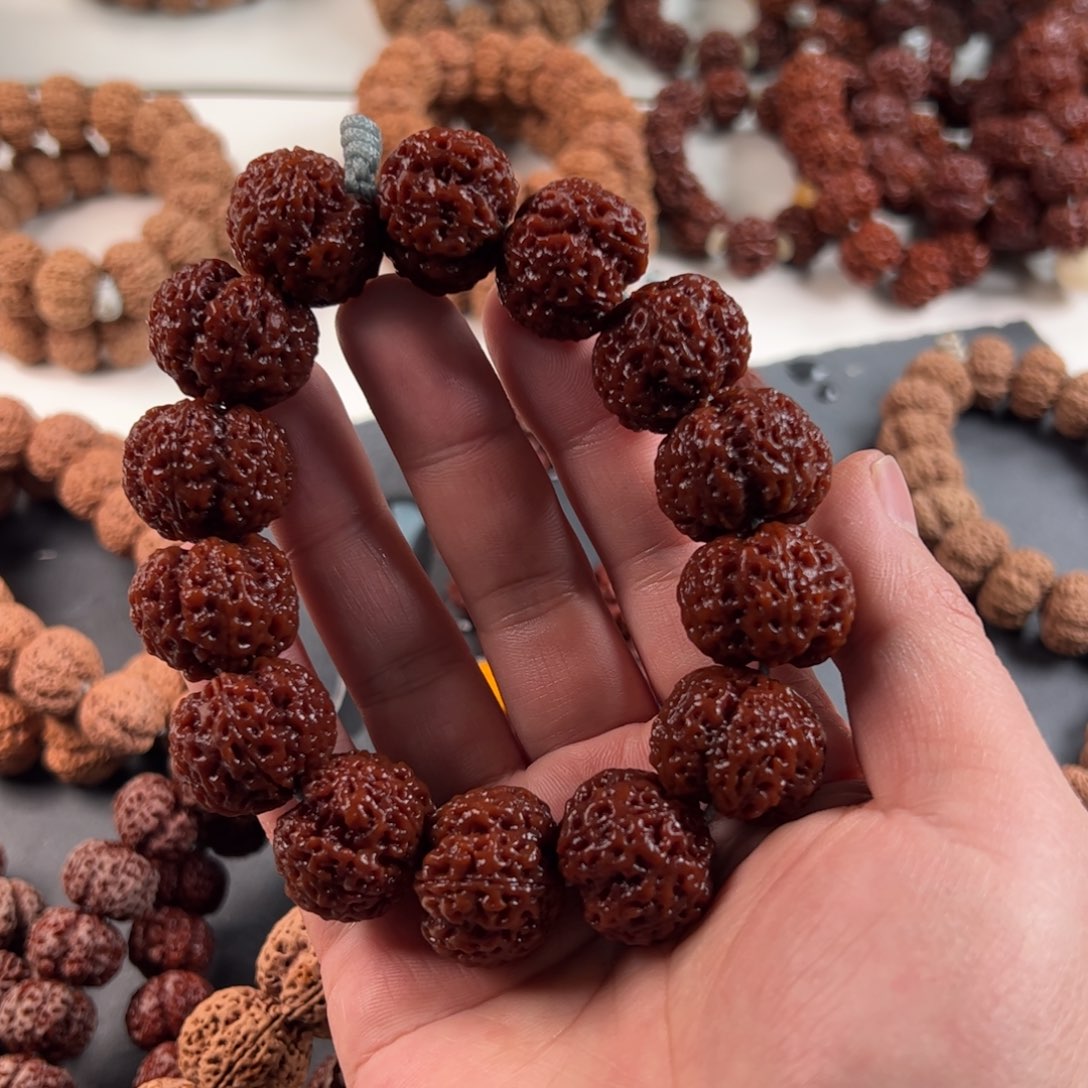 金刚菩提手串小*快烛龙超头23（头部皮色略浅）