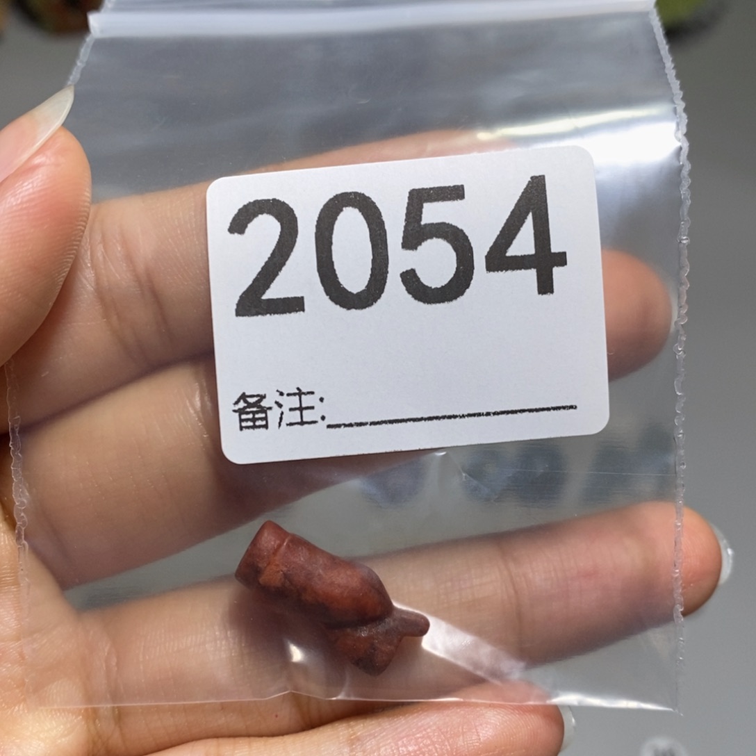 颈饰未镶嵌透闪石质玉月*