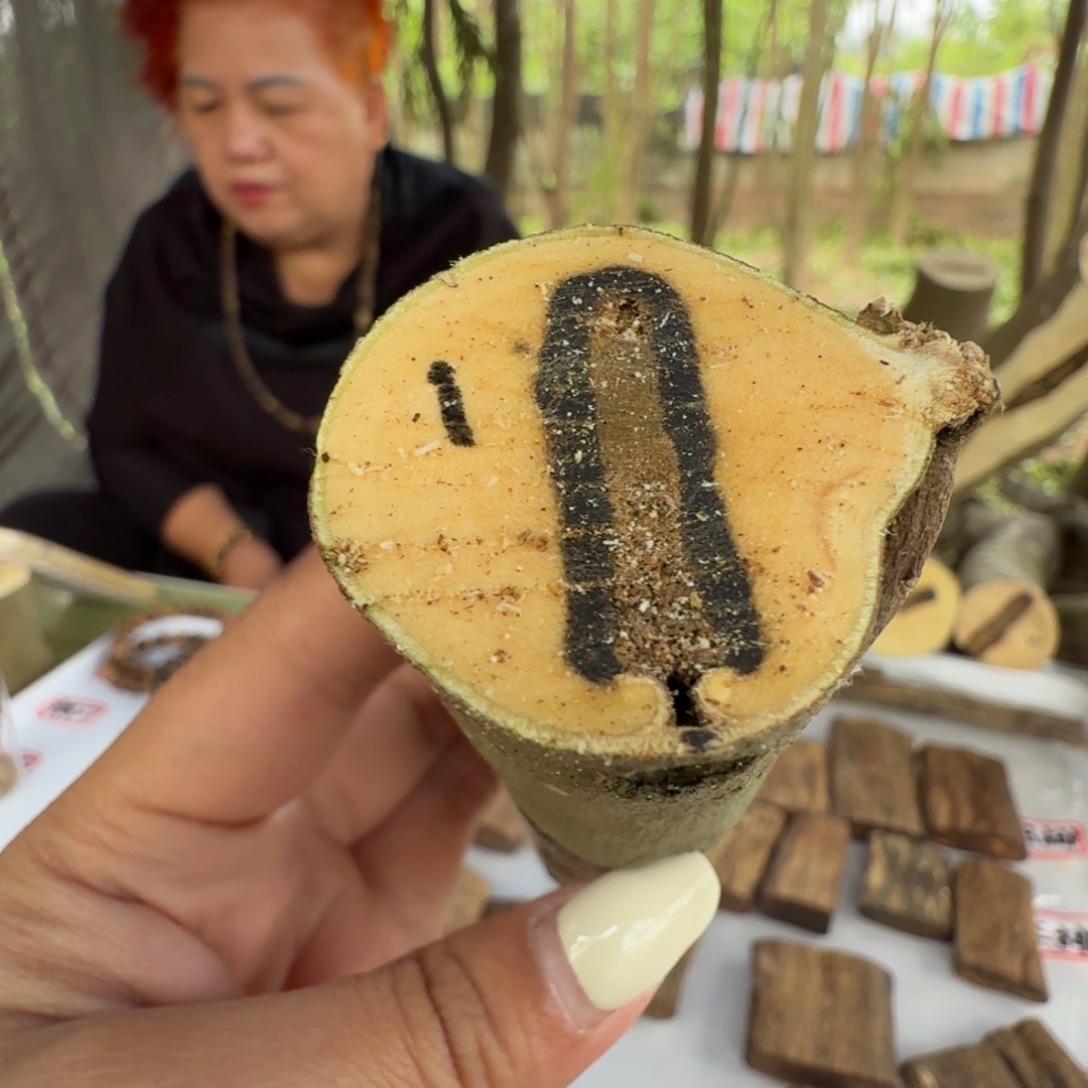 线香奇楠沉香原木