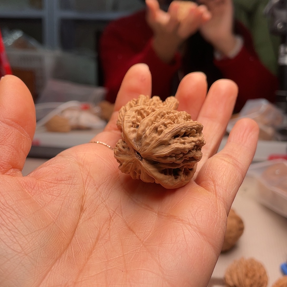 温*?猴头虎腮好美的