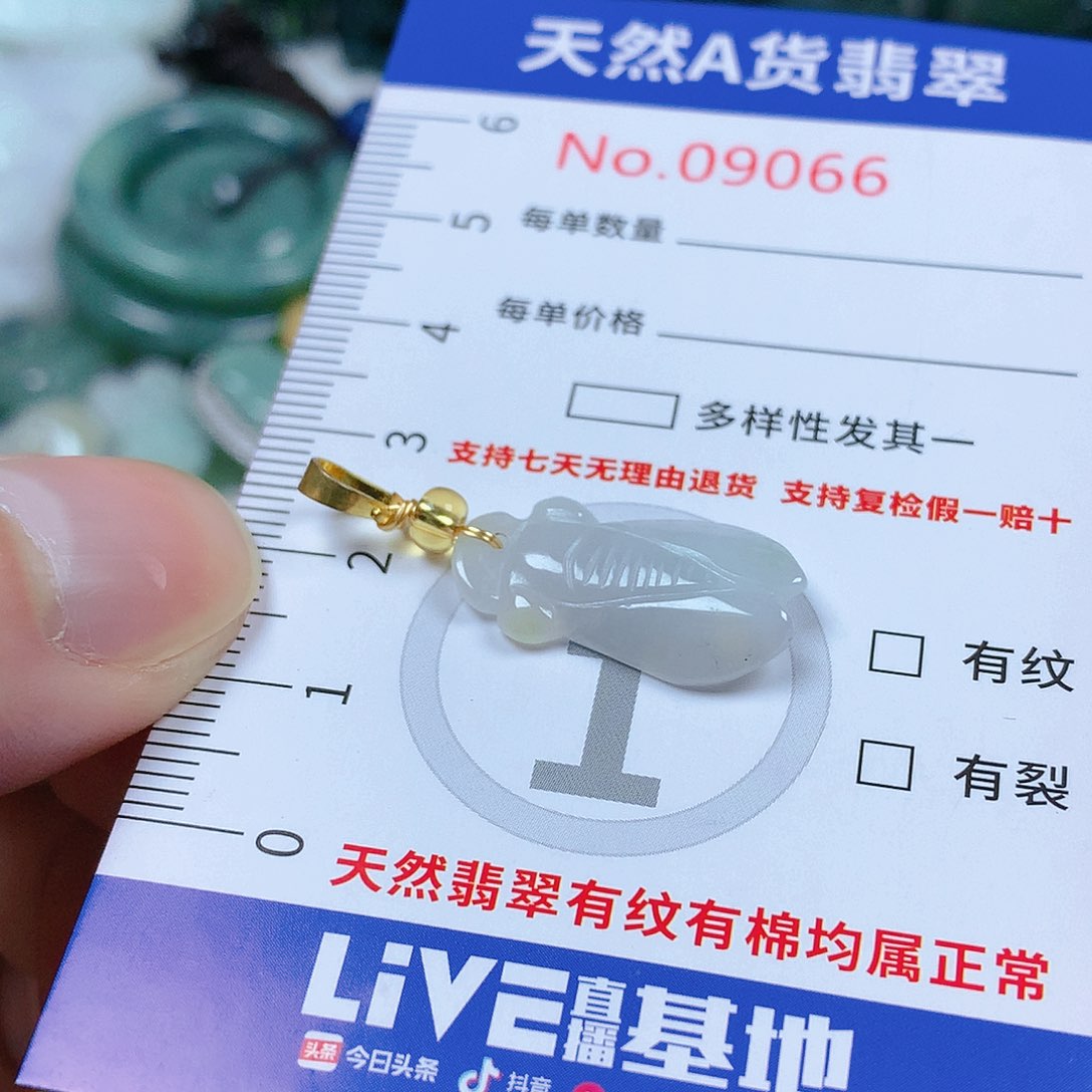 翡翠颈饰未镶嵌天然翡翠