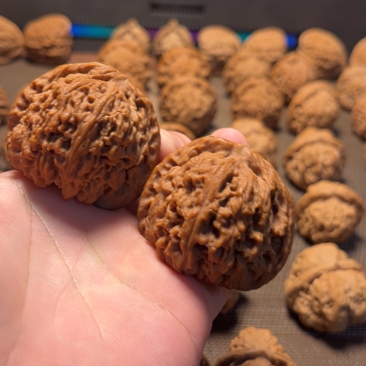 小***点手串/手链核桃14南疆