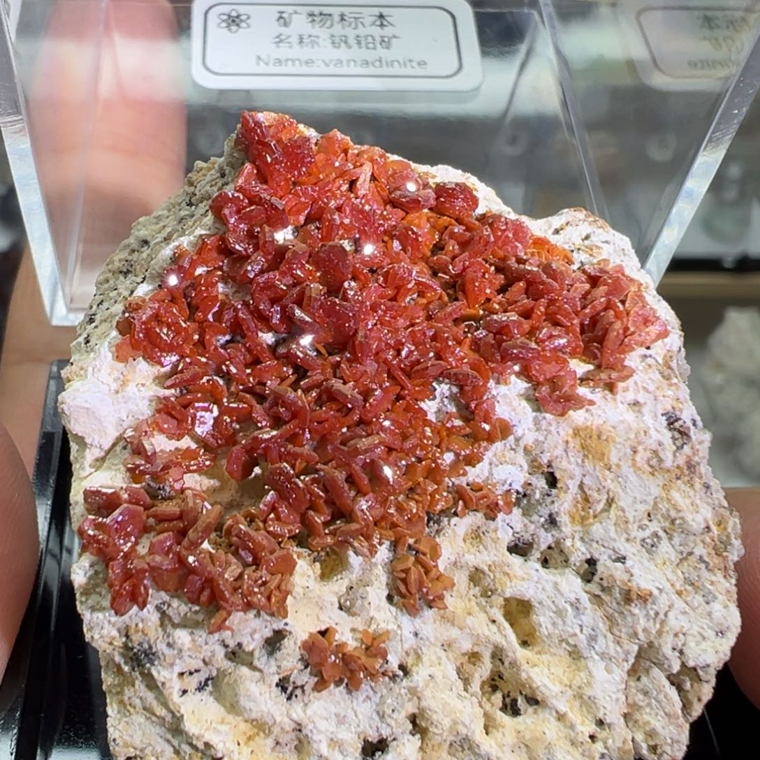 紫晶大型摆件（非配饰）银S925镶嵌