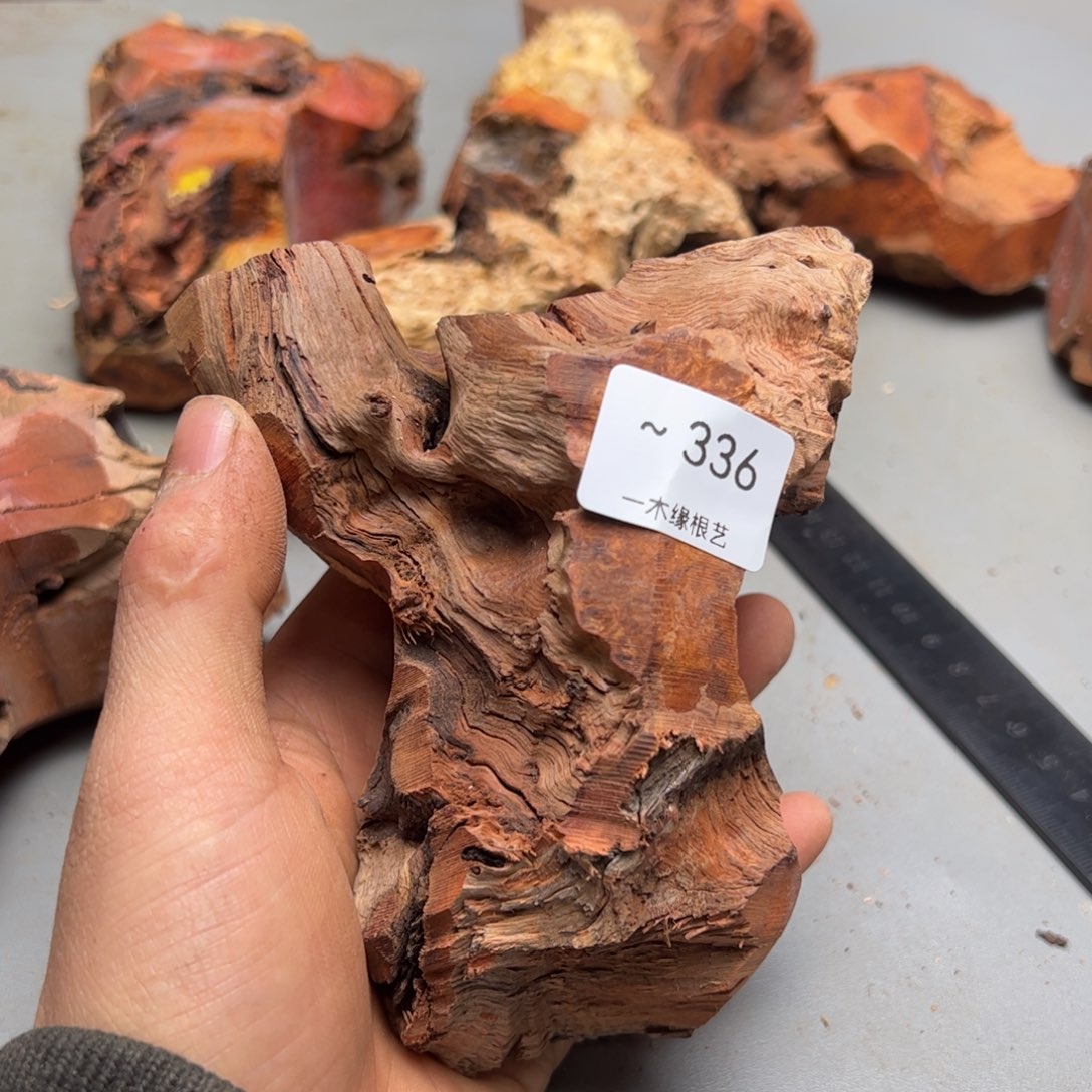 鳯***天无花朵         336