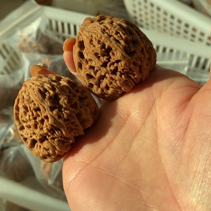 张*臭南疆石南疆石南疆石