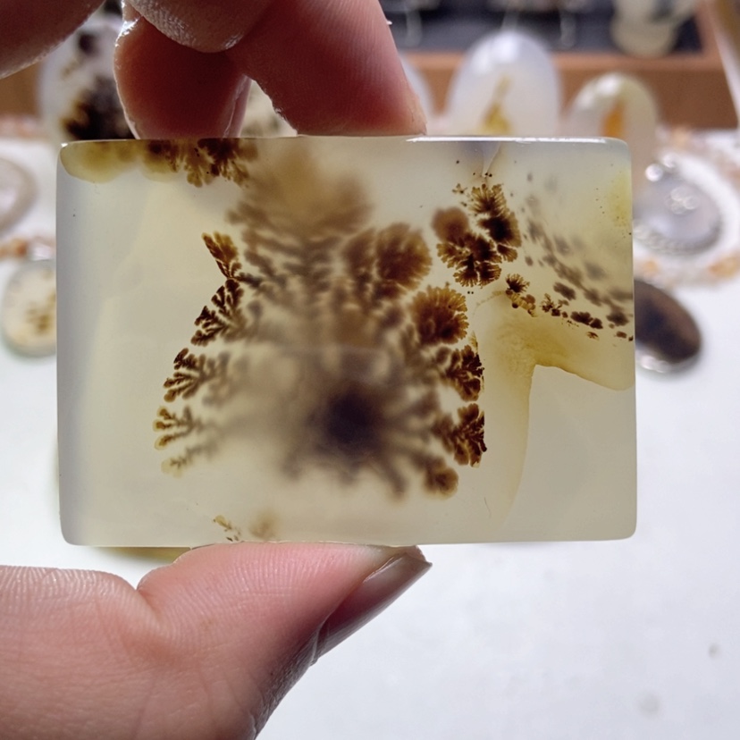 【闪购商品】玛瑙/玉髓颈饰未镶嵌